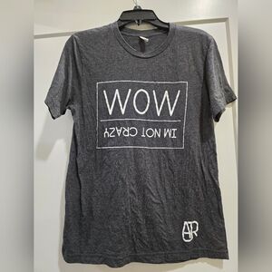 AJR, American Pop Band, Hrey Tshirt, Wow I'm Not crazy by Adam, Jack, Ryan Met.